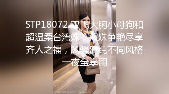 STP18072 双飞大胸小母狗和超温柔台湾妹，双姝争艳尽享齐人之福，风骚清纯不同风格一夜全享用