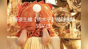 绿茶主播【肉木子】福利视频55V (3)