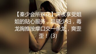 【秦少会所探花】深夜享受姐姐的贴心服务，风骚少妇，毒龙胸推按摩口交一条龙，爽歪歪！ (3)