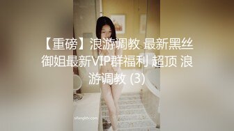 【重磅】浪游调教 最新黑丝御姐最新VIP群福利 超顶 浪游调教 (3)