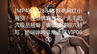 [MP4]STP28848 妖艳网红小骚货！性感情趣内衣！无毛肥穴极品翘臀，表情淫骚掰穴特写，娇喘呻吟非常诱惑 VIP0600