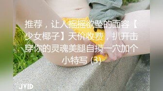 推荐，让人摇摇欲坠的面容【少女椰子】天价收费，扒开击穿你的灵魂美腿自摸一穴加个小特写 (3)