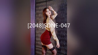 [2048]SONE-047