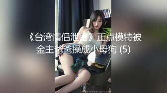 《台湾情侣泄密》正点模特被金主爸爸操成小母狗 (5)