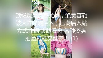 顶级反差性感尤物，绝美容颜被大神啪啪后入，压肏后入站立式抽插 夹腿爆肏 各种姿势抽插打桩爽翻了！ (1)