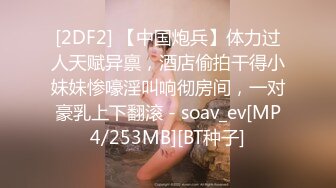 [2DF2] 【中国炮兵】体力过人天赋异禀，酒店偷拍干得小妹妹惨嚎淫叫响彻房间，一对豪乳上下翻滚 - soav_ev[MP4/253MB][BT种子]