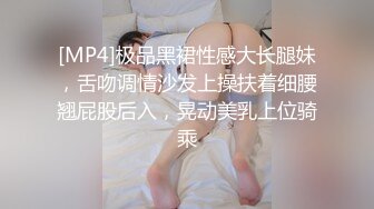 [MP4]极品黑裙性感大长腿妹，舌吻调情沙发上操扶着细腰翘屁股后入，晃动美乳上位骑乘