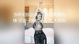 [MP4]极品美穴 姐们共用肉棒 在妻子旁的小三做 大屌粉丝