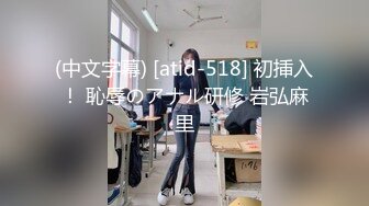 (中文字幕) [atid-518] 初挿入！ 恥辱のアナル研修 岩弘麻里