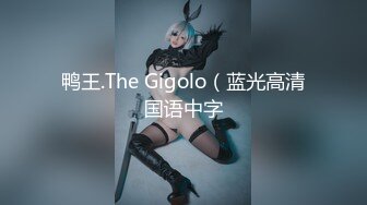 鸭王.The Gigolo（蓝光高清国语中字