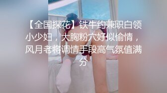 【全国探花】铁牛约兼职白领小少妇，大胸粉穴好似偷情，风月老将调情手段高气氛值满分