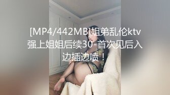 [MP4/442MB]姐弟乱伦ktv强上姐姐后续30-首次见后入边插边喷！