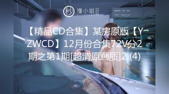 【精品CD合集】某房原版【YZWCD】12月份合集72V分2期之第1期[超清原画质]2 (4)