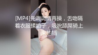 [MP4]先调调情再操，舌吻隔着衣服揉奶子，吸吮舔屌骑上来抽插