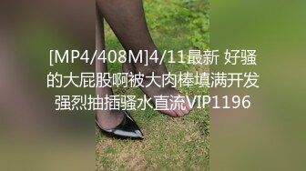 [MP4/408M]4/11最新 好骚的大屁股啊被大肉棒填满开发强烈抽插骚水直流VIP1196