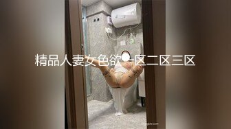 精品人妻女色欲一区二区三区