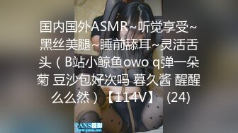 国内国外ASMR~听觉享受~黑丝美腿~睡前舔耳~灵活舌头（B站小鲸鱼owo q弹一朵菊 豆沙包好次吗 暮久酱 醒醒 么么然）【114V】  (24)