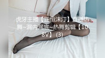 虎牙主播【正恒沫汀】直播热舞~漏内漏底~热舞剪辑【108V】 (3)