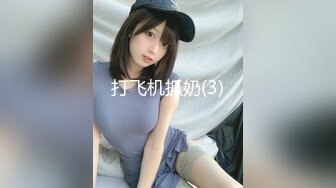 打飞机抓奶(3)